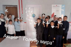 IMG-20250422-WA0020